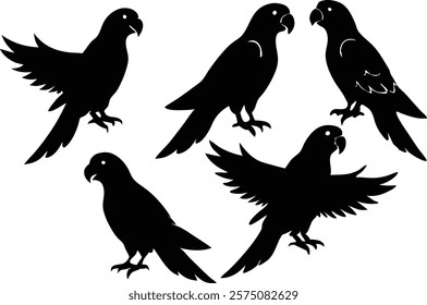 A set of minimalistic  parrot birds in different poses silhouette on a white background isolated. 