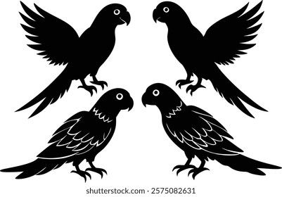 A set of minimalistic  parrot birds in different poses silhouette on a white background isolated. 