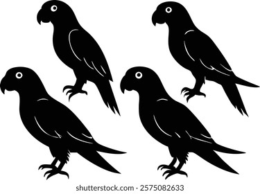 A set of minimalistic  parrot birds in different poses silhouette on a white background isolated. 