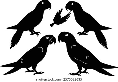 A set of minimalistic  parrot birds in different poses silhouette on a white background isolated. 