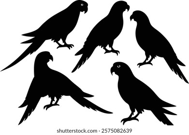 A set of minimalistic  parrot birds in different poses silhouette on a white background isolated. 