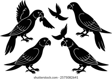 A set of minimalistic  parrot birds in different poses silhouette on a white background isolated. 