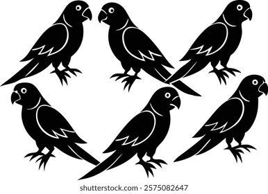 A set of minimalistic  parrot birds in different poses silhouette on a white background isolated. 