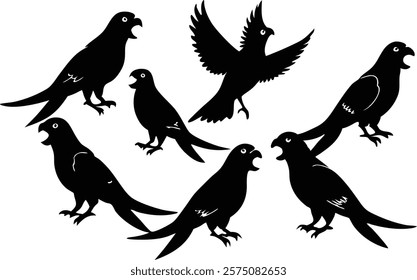 A set of minimalistic  parrot birds in different poses silhouette on a white background isolated. 