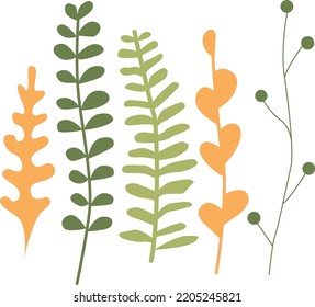 set of minimalistic plants in different colors
