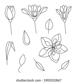 Conjunto de flores de primavera minimalistas. Estilo de dibujo de una línea. Ilustración vectorial sobre fondo blanco aislado.