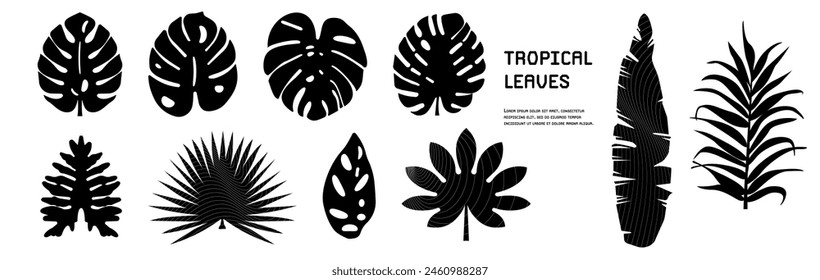 Set minimalistic tropical leaves. Silhouettes jungle plants branches, Botanical vector assets collection graphic bizarre elements.