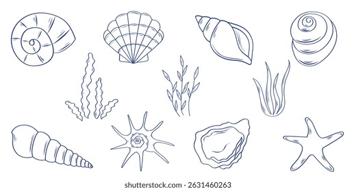 Set of minimalistic tropical shells and algae hand draw. Minimalistic vintage marine prints. Vector elements for fashion posters, invitations, banners, menu covers.