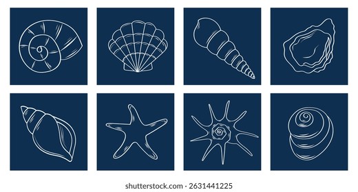 Set of minimalistic tropical shells hand drawn. Minimalistic vintage marine prints. Vector elements for fashion posters, invitations, banners, menu covers.