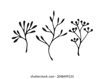 A set of minimalistic twigs with leaves. The symbol of the branches. Black branches on a white background. Postcard printing, a design element. A vector image.