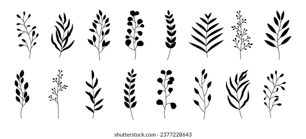 Conjunto de ramas de flores botánicas vectoriales minimalistas al estilo de la silueta. Ramas con elegantes hojas negras sobre un fondo blanco. Vector de vegetación aislado de moda botánica	