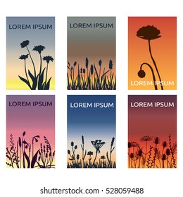 a set of  minimalistic vector illustrations of sunset through field herbs and flowers