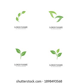 Set Mint leaves flat vector color icon template