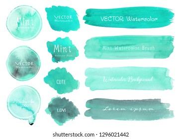 Set of mint watercolor on white background, Brush stroke watercolor, Vector illustration.