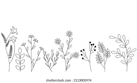 conjunto diverso de hierbas silvestres y flores contorno negro sobre blanco 
