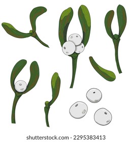 Set of mistletoe branches. Doodle illustration. Elements for design