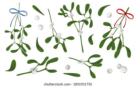 Set of Mistletoe (Viscum) branches with white berries and ribbons. Christmas tradition Kissing bough. Vector illustration isolated on white. Flat cartoon design. For cards, poster, banner, invitation.