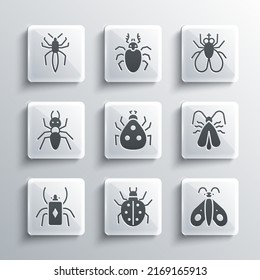 Set Mite, Butterfly, Clothes moth, Ladybug, Beetle, Ant, Spider and Insect icon. Vector