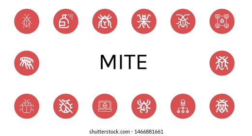 Set of mite icons such as Cockroach, Insecticide, Mite, Mantis, Bug, No insects, Acari, Flea , mite