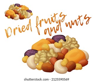 Set of mixed dried fruits and nuts vector icon isolated on white background. Healthy snack food cartoon illustration