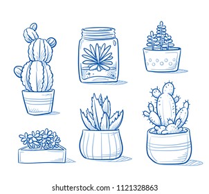 Set of mixed succulents and cactus plants in garden pottery and glasses. Hand drawn blue outline line art cartoon vector illustration.