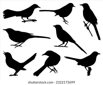 Set of Mockingbird Silhouette Vector Art