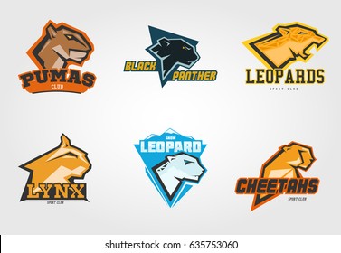 Set mockup template wild cats head symbol, logo, emblem or sticker for branding, printing, sports team. Vector illustration on white background.