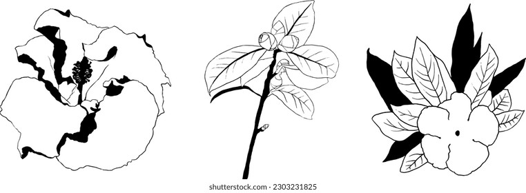 Set of modern botanical leaves. Set of botanical leaves perfect for posters. Hand drawn leaves and flowers, ink sketch style.