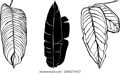 Set of modern botanical leaves. Set of botanical leaves perfect for posters. Hand drawn leaves and flowers, ink sketch style.
