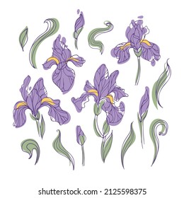 Flores modernas de iris brillantes sobre un fondo blanco. Ilustración vectorial botánica en estilo dibujado a mano para pegatinas, afiches, tarjetas, elementos de diseño.