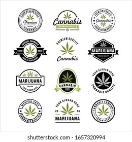 Set Of Modern Cannabis And Marijuana Logo Templates, Logo Design Elements. Vector Illustration And Logotype Template, Medical Cannabis Logo 