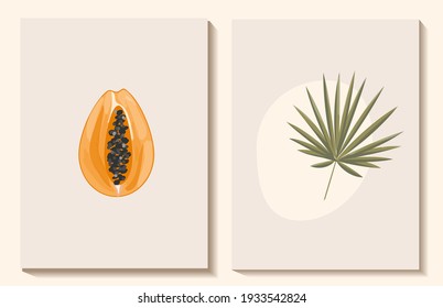 
Set of modern flat style posters. mango and palm leaf. summer vector illustration