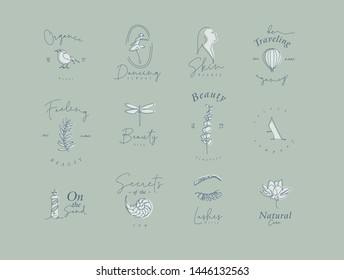 Set of modern graphic design elements with letering in minimalism art line style drawing on green background