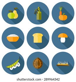 Set of modern icons in flat shadow style on vegan food theme: fruit, vegetable, mushroom, soy, bean, oil, nut, bread, rice. Raw healthy food or vegan concept. Great for vegan site, app, organic market