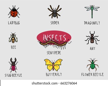 Set of modern illustrated bug, insects, created in outline style. Bright and coloured bugs.