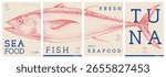 Set of modern magazine covers or posters with tuna fish. Restaurant seafood menu design. Vector illustration