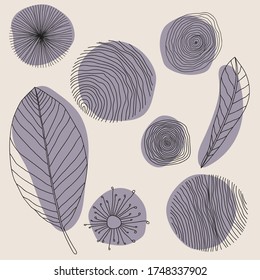 Set Of Modern Minimal Organic Shapes, Elements For Decoration, Leaves. Vector Hand Drawn Templates.