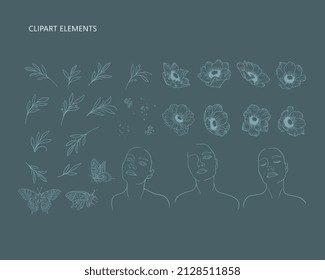 A set of modern vector elements. Flowers, women's faces, butterflies. Vector illustrations 