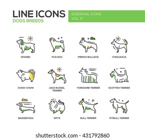 Set of modern vector line design icons and pictograms of domestic dogs breeds. Spaniel, french bulldog, chihuahua, chow-chow, jack russel terrier, yorkshire, scottish terrier, badger, spitz, pitbull