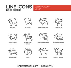 Set of modern vector plain line design icons and pictograms of domestic dogs breeds. Spaniel, bulldog, chihuahua, chow-chow, jack russel terrier, yorkshire, scottish terrier, badger, spitz, pitbull