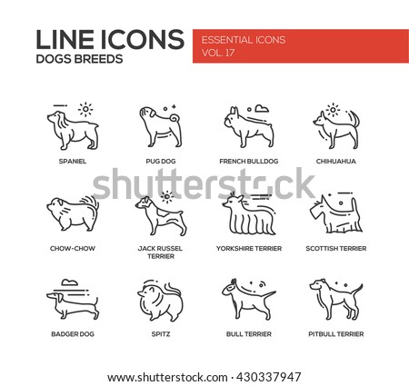 Set of modern vector plain line design icons and pictograms of domestic dogs breeds. Spaniel, bulldog, chihuahua, chow-chow, jack russel terrier, yorkshire, scottish terrier, badger, spitz, pitbull