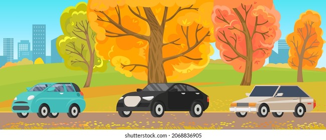 Set of modes of transport and machine shapes. Cars of different types with tinted glass in background of landscape of nature or city. Crossover, hatchback, pickup vehicle is riding in autumn park