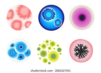 Set Of Mold In Lab Microscope View. Different Germs In Laboratory Petri Dish. Biochemistry Analysis, Medicine Test. Colorful Bacteria, Isolated Fungi, Cells Or Penicillin. Cartoon Vector Illustration