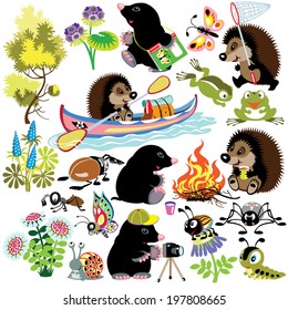 set with mole and hedgehog exploring the world of insects, isolated cartoon images for little kids