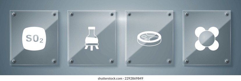 Set Molecule, Petri dish with bacteria, Test tube and Sulfur dioxide SO2. Square glass panels. Vector