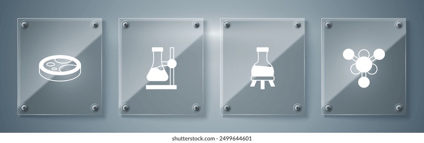 Set Molecule, Test tube, flask on stand and Petri dish with bacteria. Square glass panels. Vector