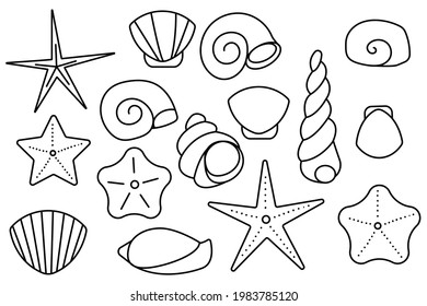 Set of molluscs sea shells. Ocean sand seashells. vector line icon. Editable stroke. Doodle style