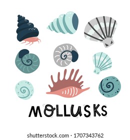 set mollusks and starfish, sea ocean, lettering vector illustration 