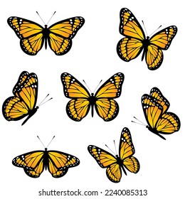 Set of monarch butterflies isolated on white background. Realistic vector illustration