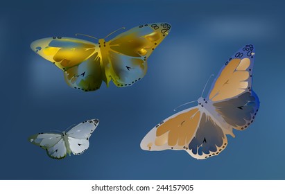 set Monarch Butterfly with open wings  top view